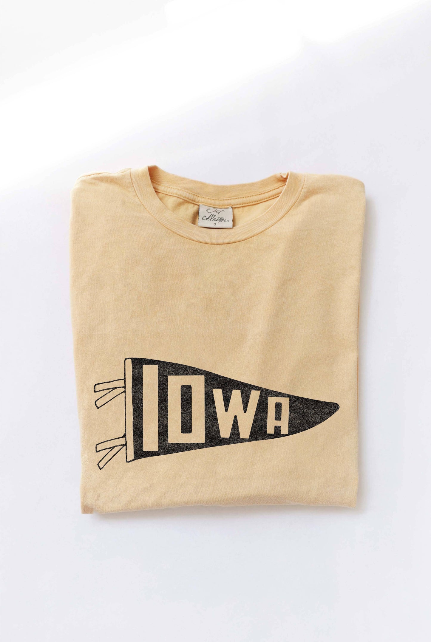 Iowa Pennant Adult Tee