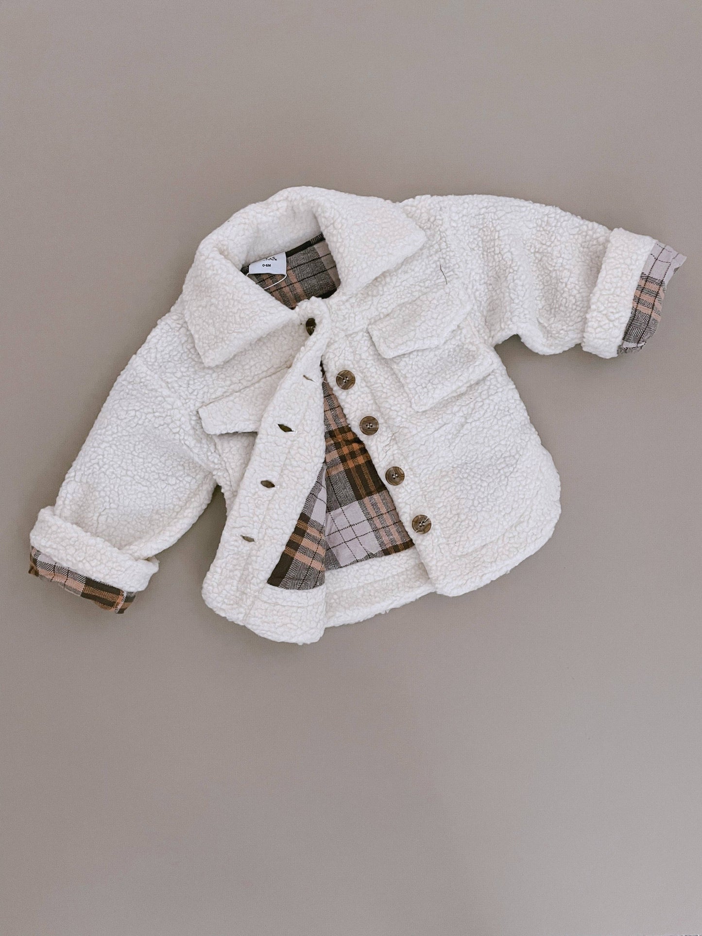 Teddy Shacket
